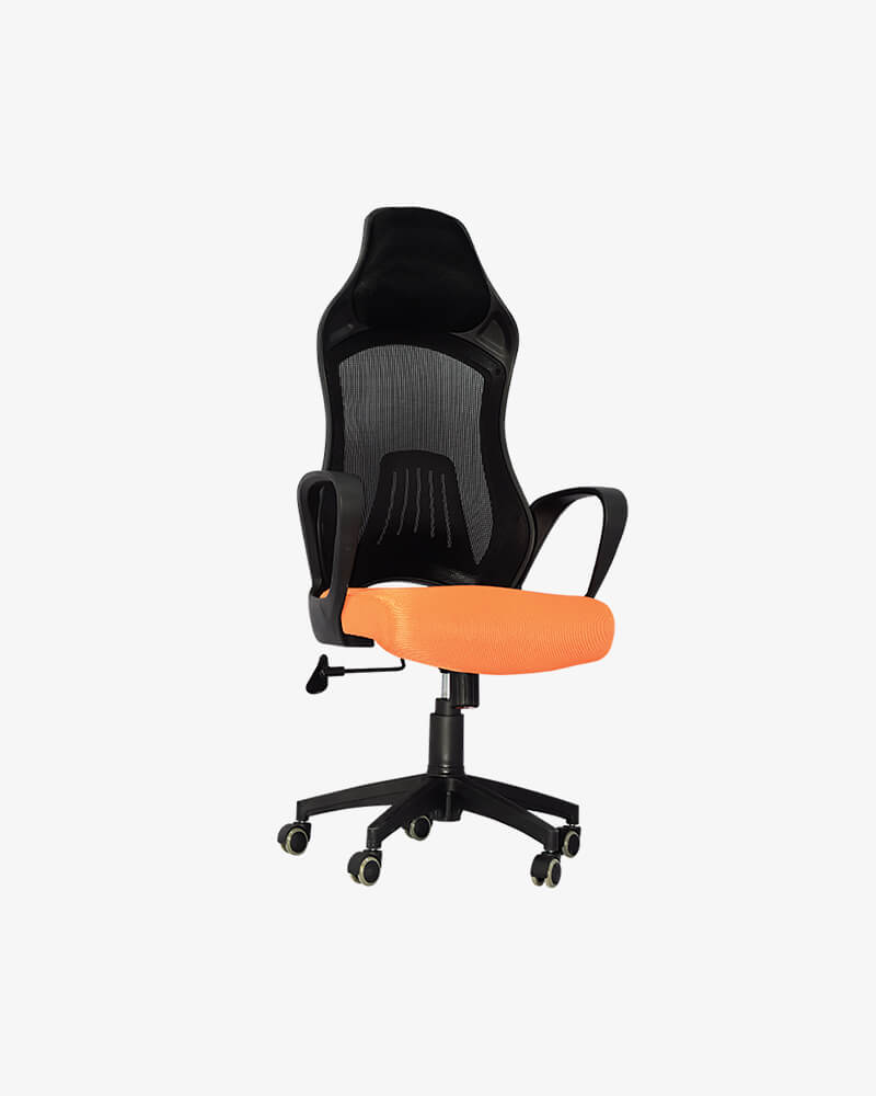 High Back Managerial Chair-HCSMT-201-A-810-2