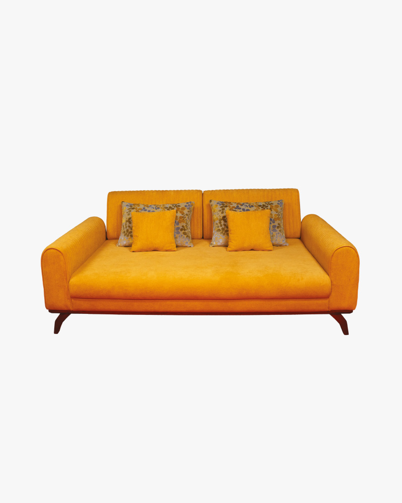 Wooden Sofa Cum Bed-HSCB-310
