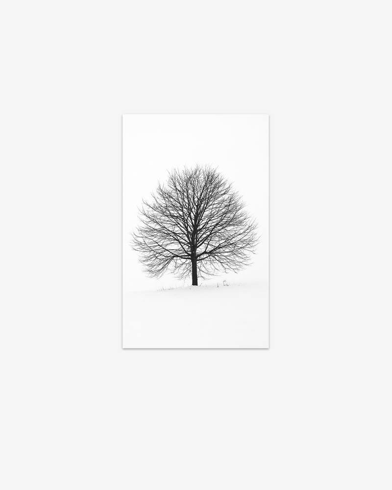 Wooden wall Decor-HWWD-301 (The Lonely Tree)